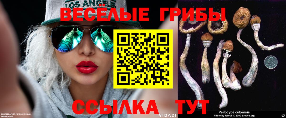 Кушва  Псилоцибиновые грибы мицелий  Галлюциногенные грибы мухоморы  закладки  Вход с VPN 