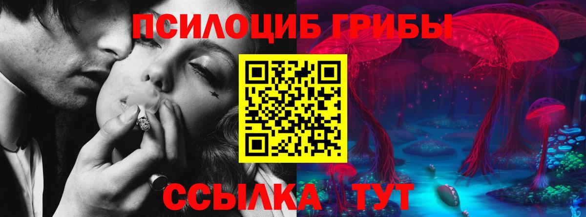 Галлюциногенные грибы мухоморы Кушва